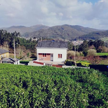 Casa Familiar Con Finca Privada Viveiro Buitenkant foto