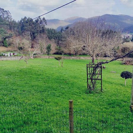 Casa Familiar Con Finca Privada Viveiro Buitenkant foto
