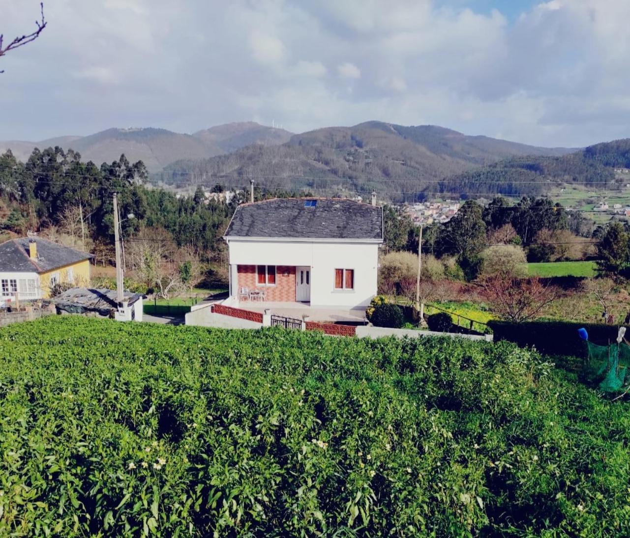 Casa Familiar Con Finca Privada Viveiro Buitenkant foto